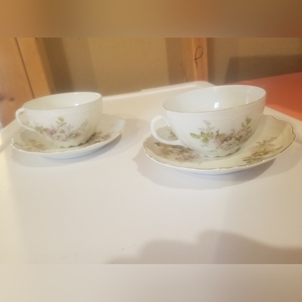 2 cups and saucers hand painted O&E.G